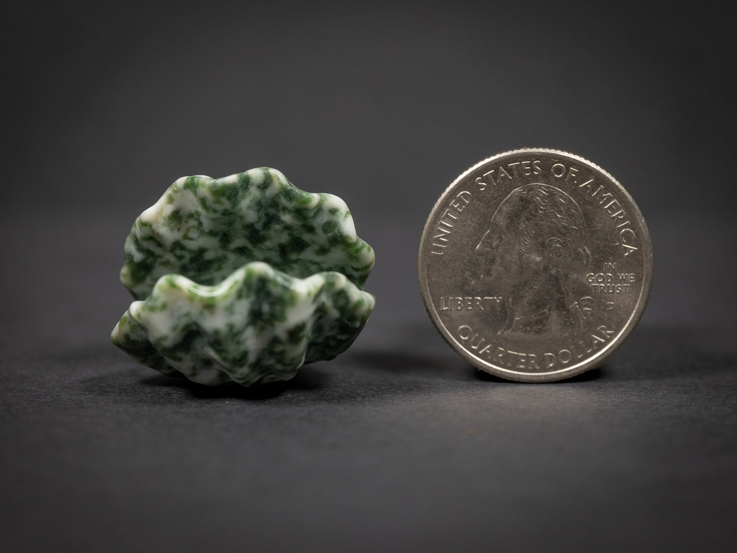 Little Gemstone Clams