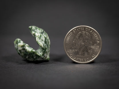 Little Gemstone Clams