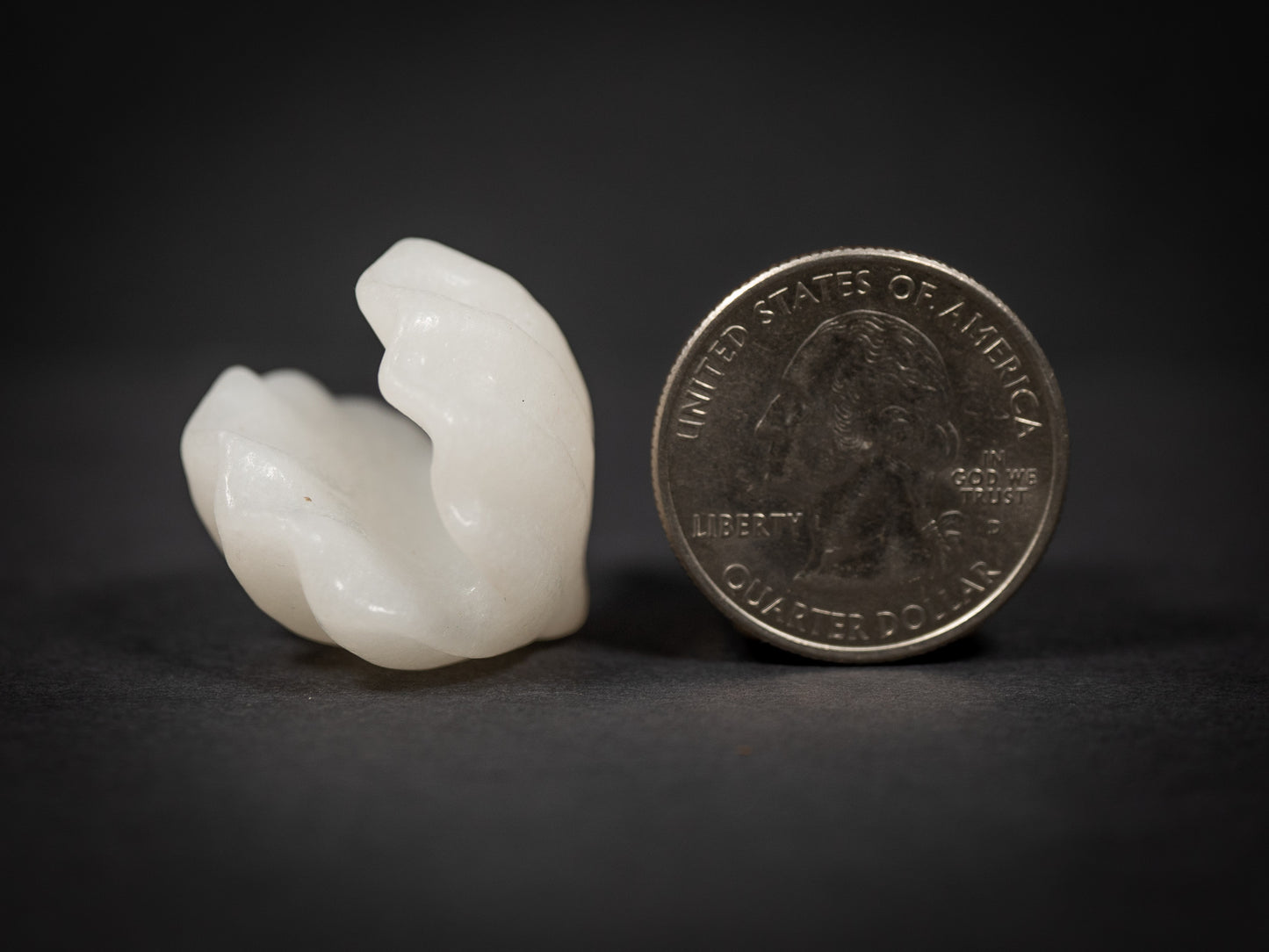 Little Gemstone Clams