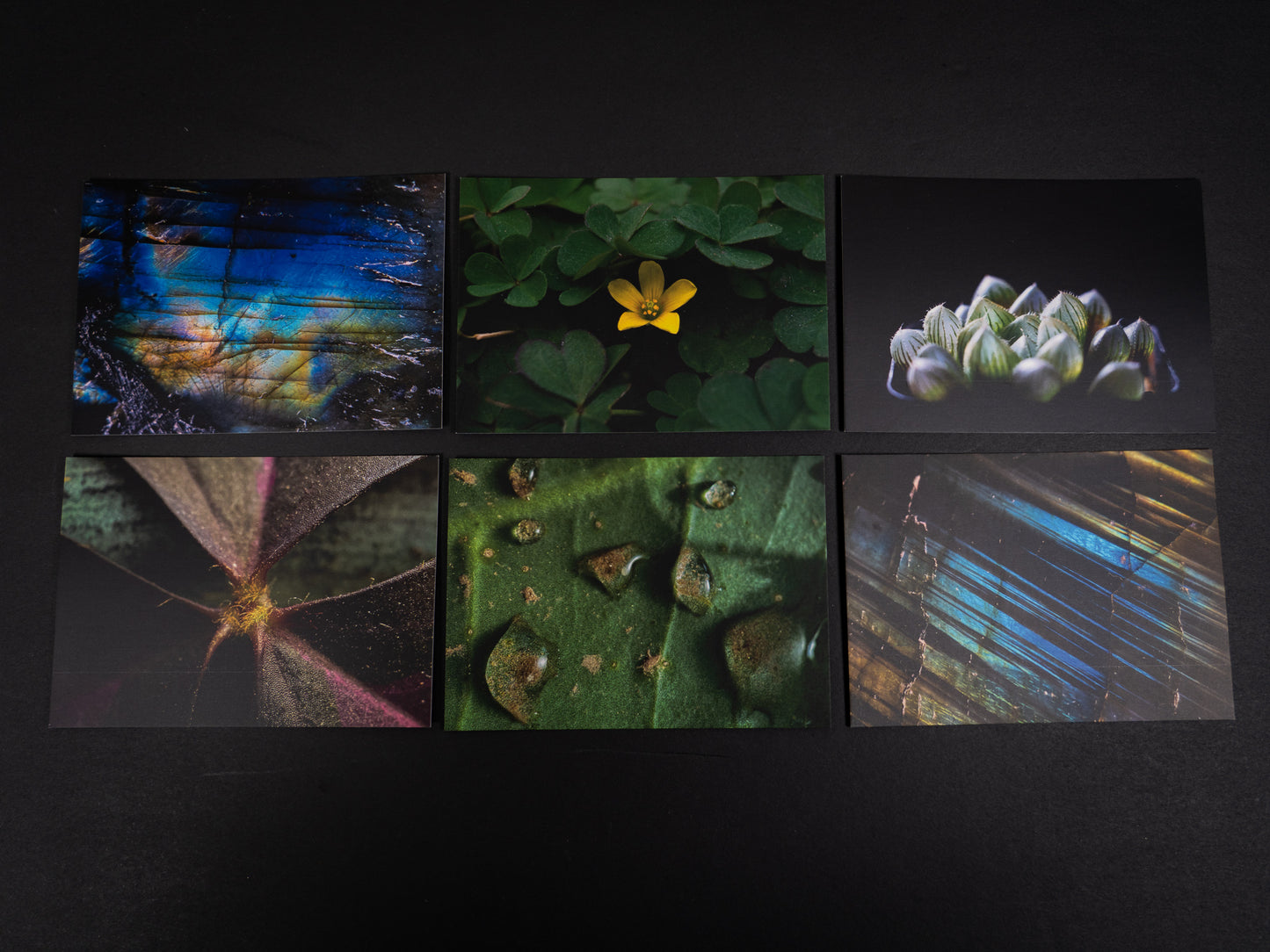 Postcard Set