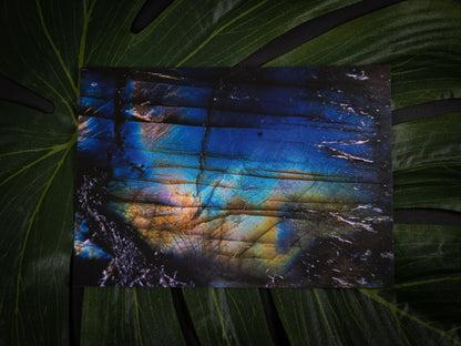 Postcard Set