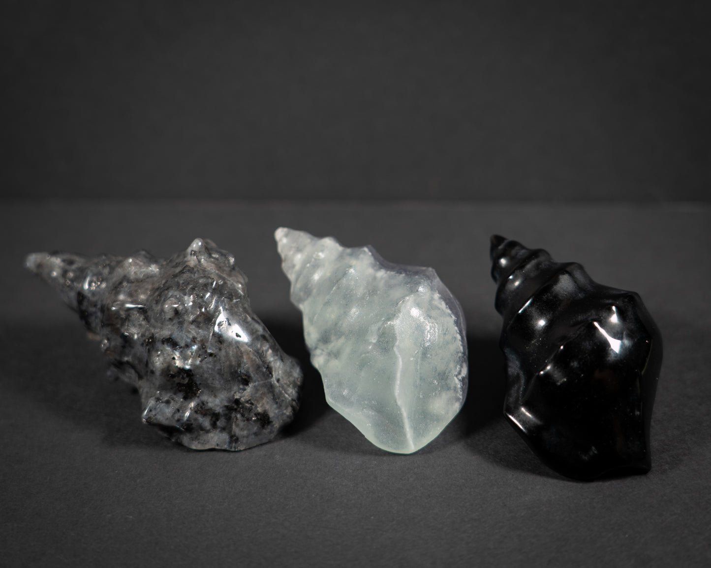 Gemstone Conch shells