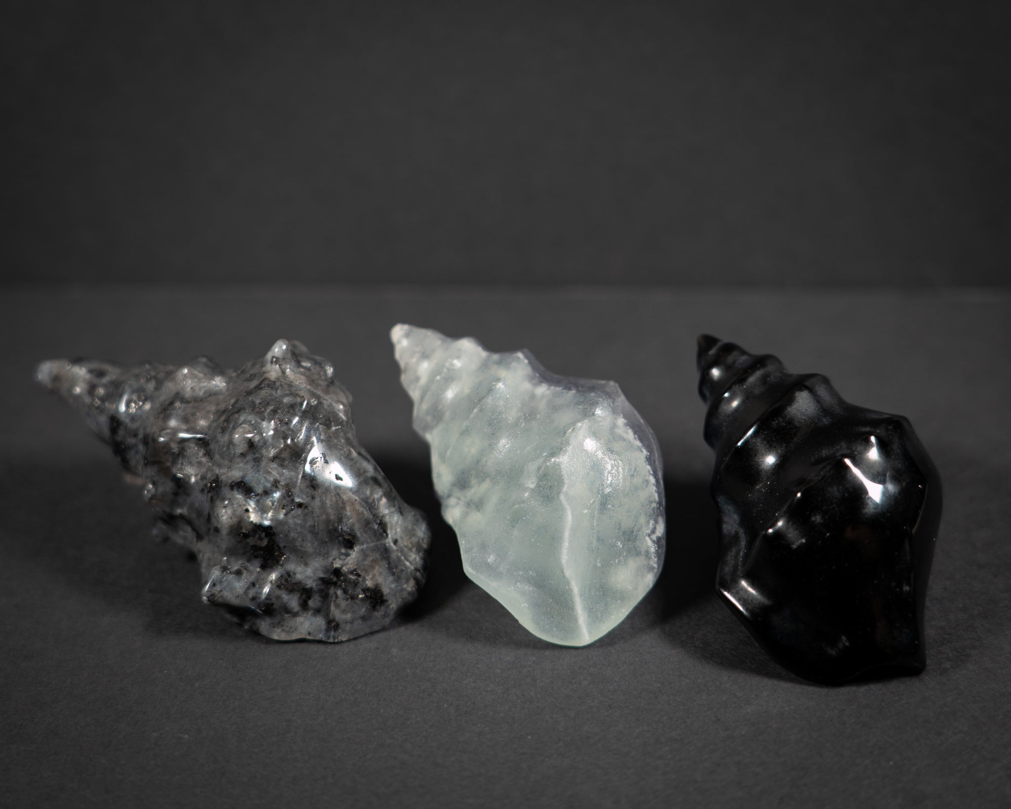 Gemstone Conch shells
