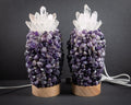 Pineapple Lamps