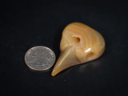 Gemstone Crow Skull