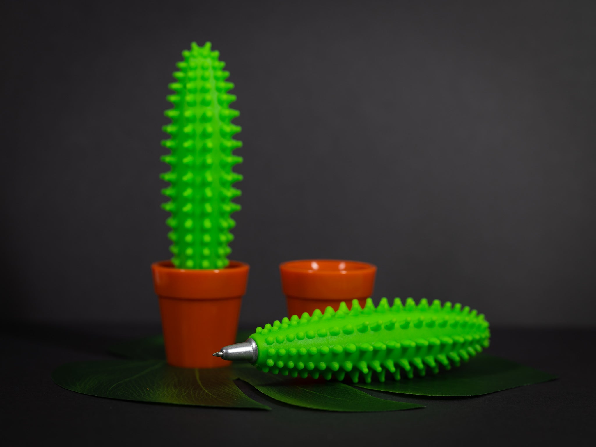 Prickly Pen