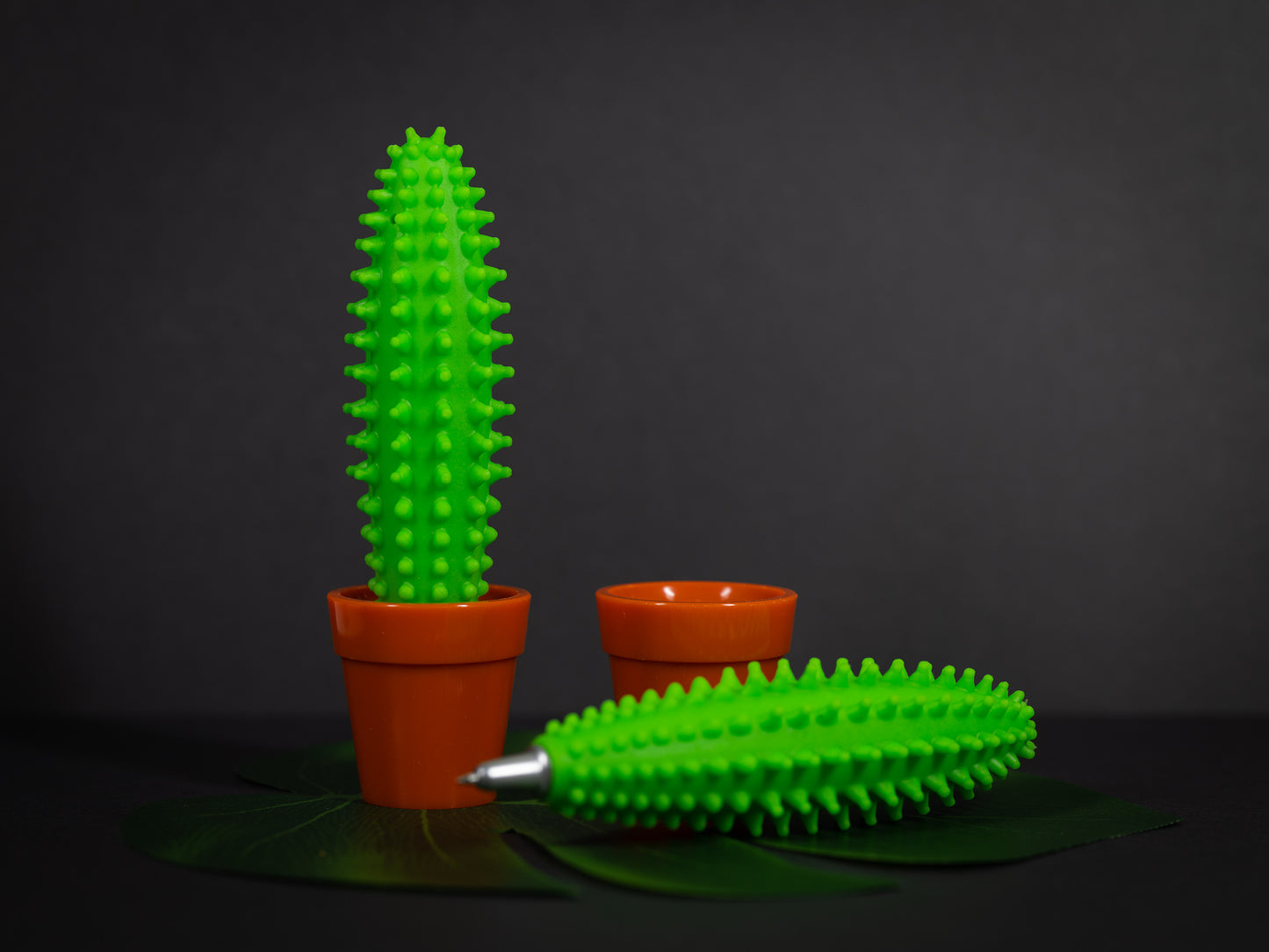 Prickly Pen