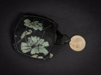 Chrysanthemum Stone Turtles