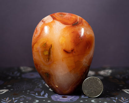 Carnelian Freeform