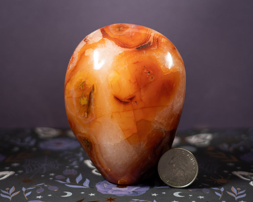 Carnelian Freeform