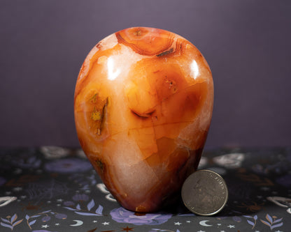 Carnelian Freeform