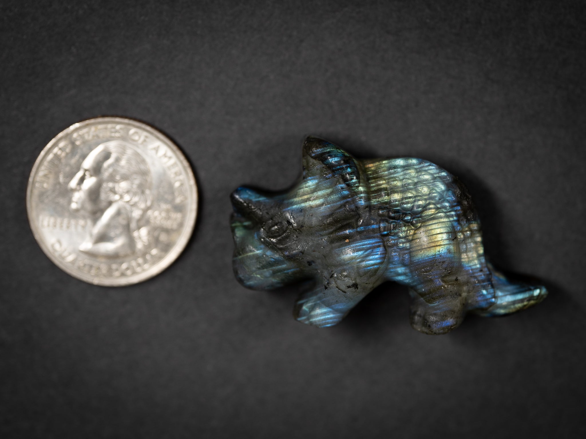 Labradorite Triceratops Carvings