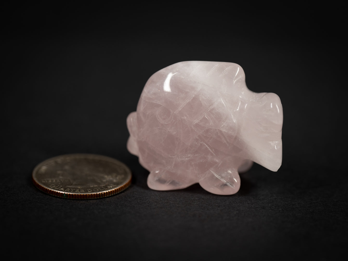 Small Gemstone Fish