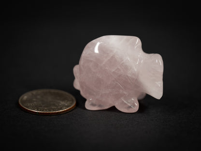 Small Gemstone Fish