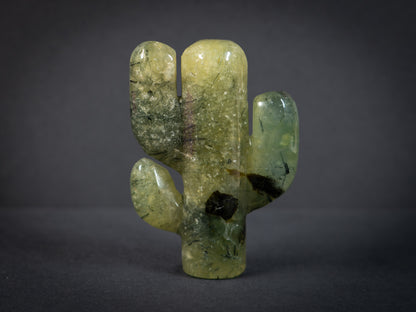 Gemstone Cacti
