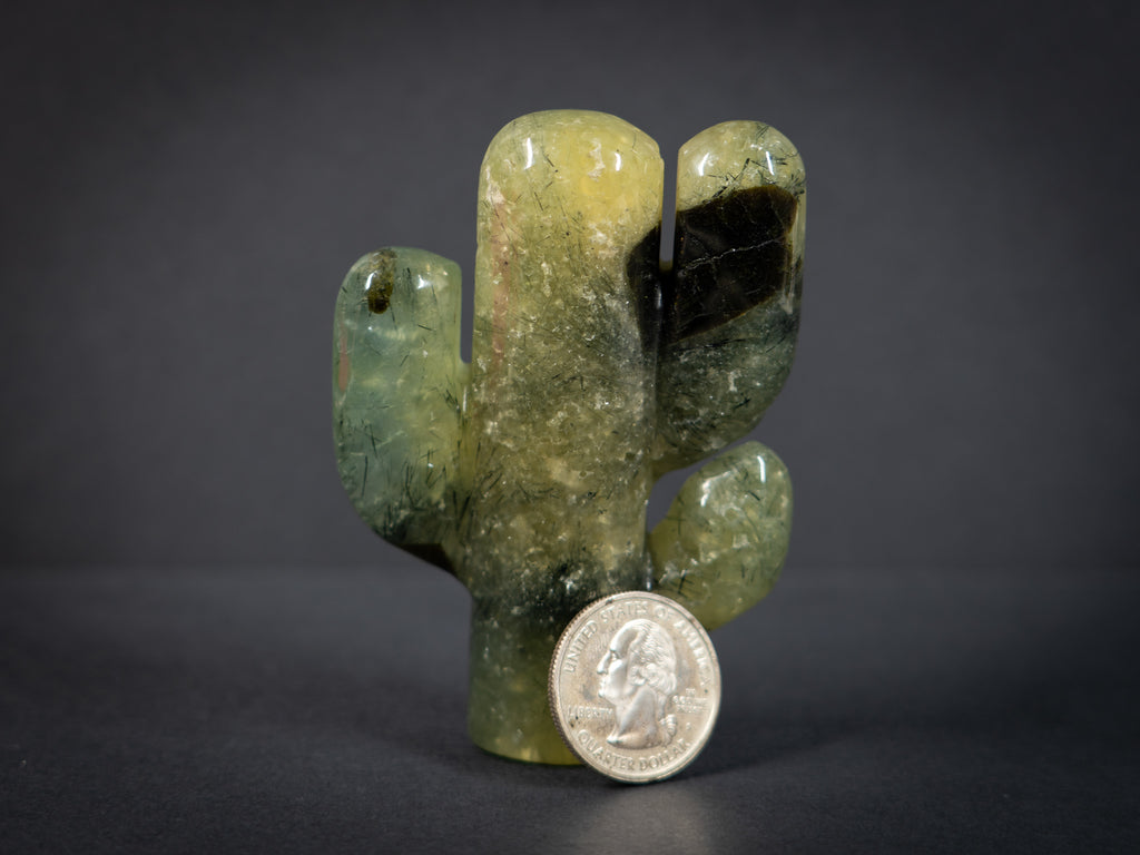 Gemstone Cacti