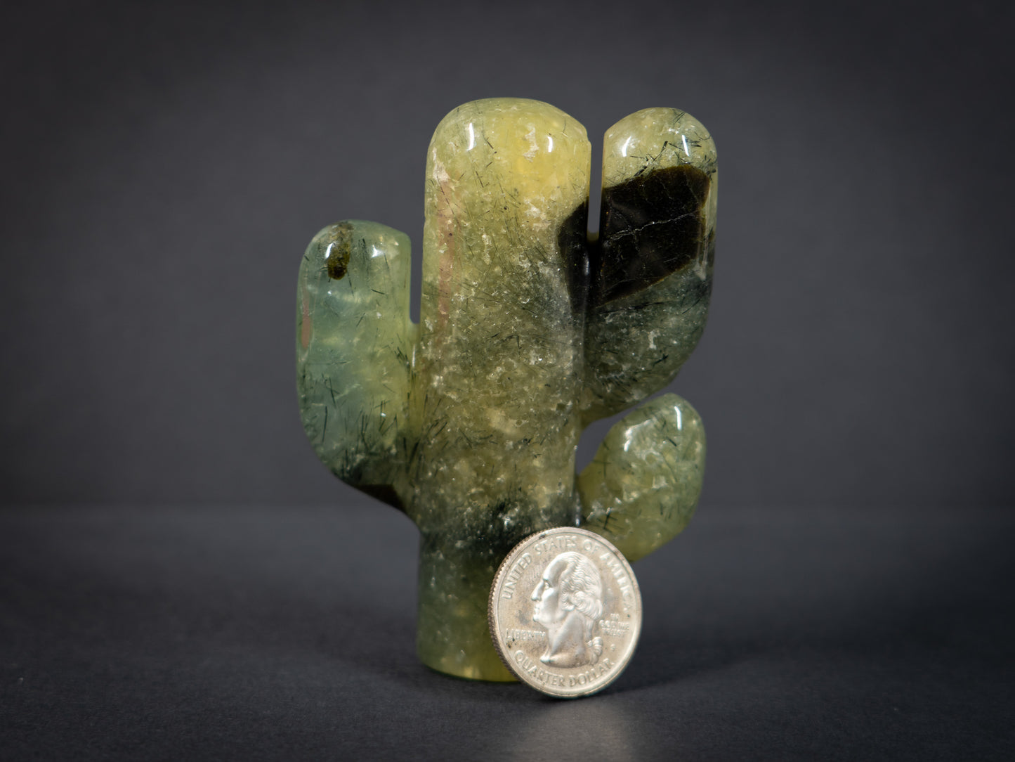 Gemstone Cacti