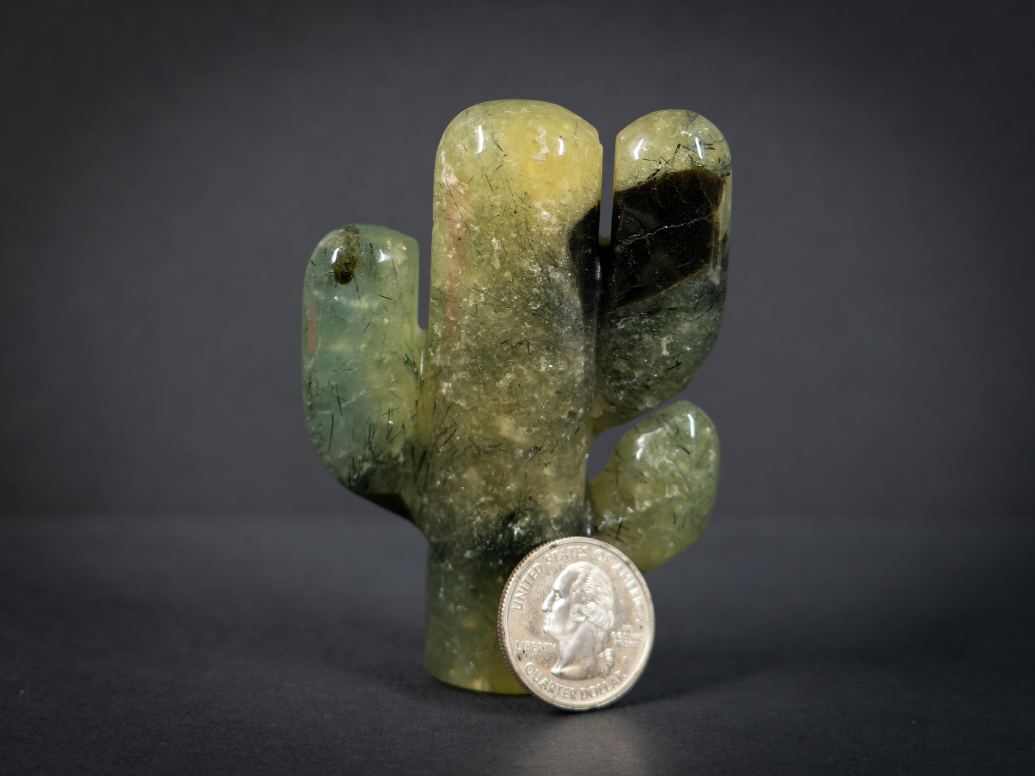 Gemstone Cacti