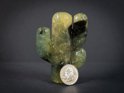 Gemstone Cacti