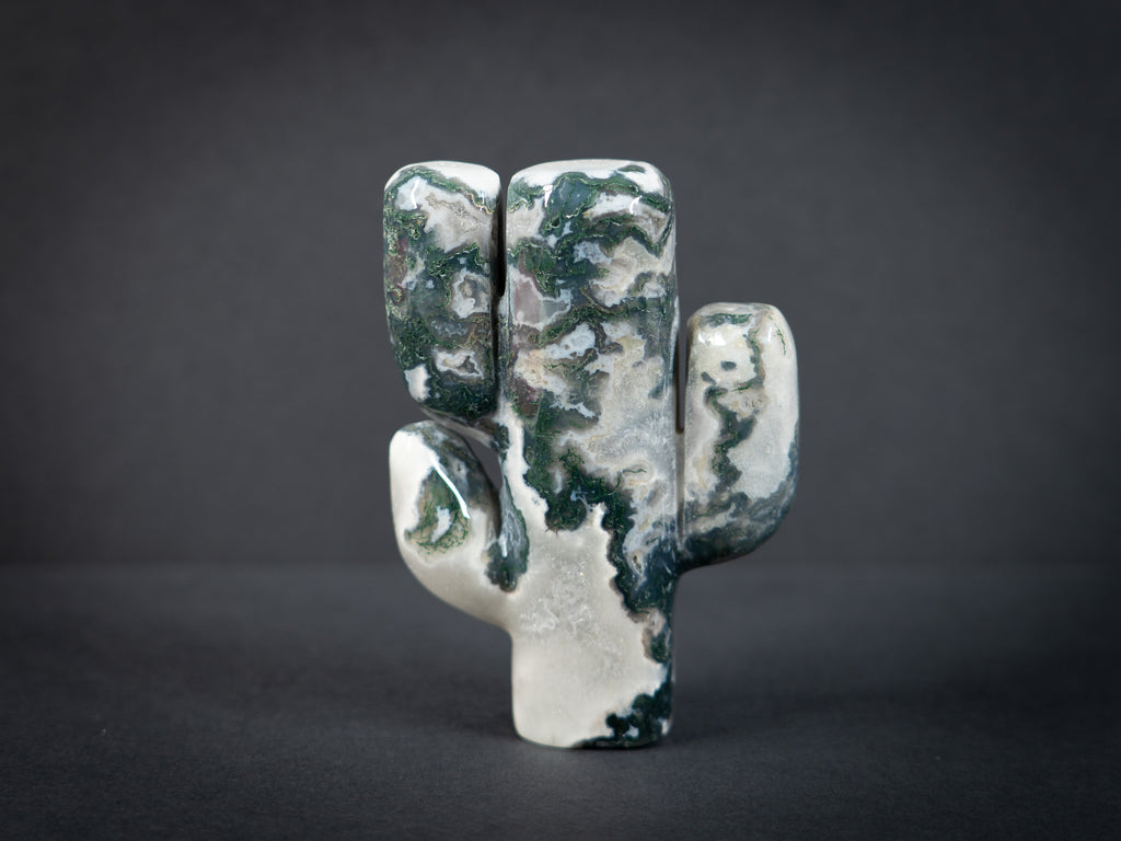 Gemstone Cacti
