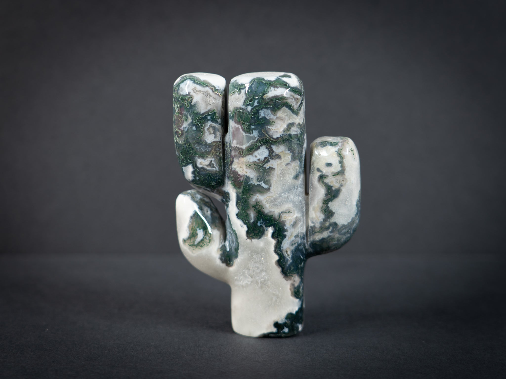 Gemstone Cacti