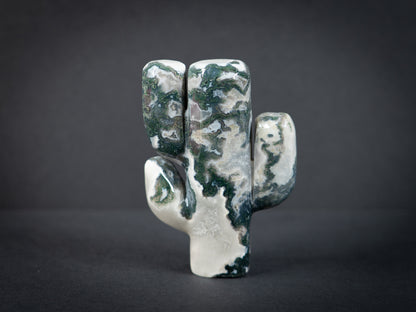 Gemstone Cacti