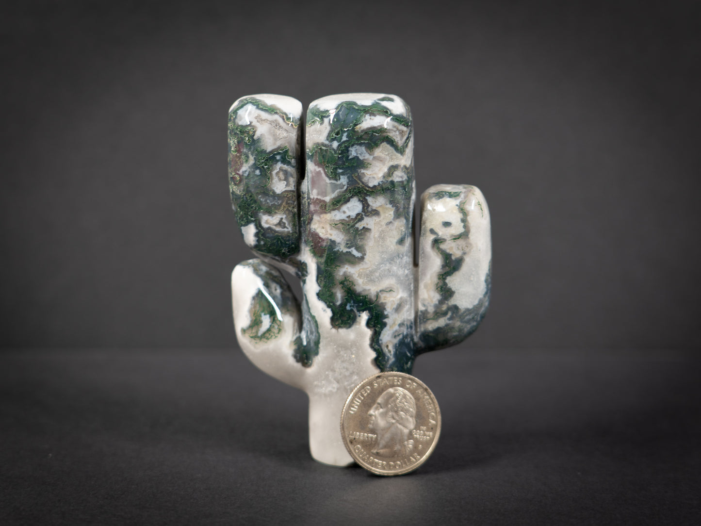 Gemstone Cacti