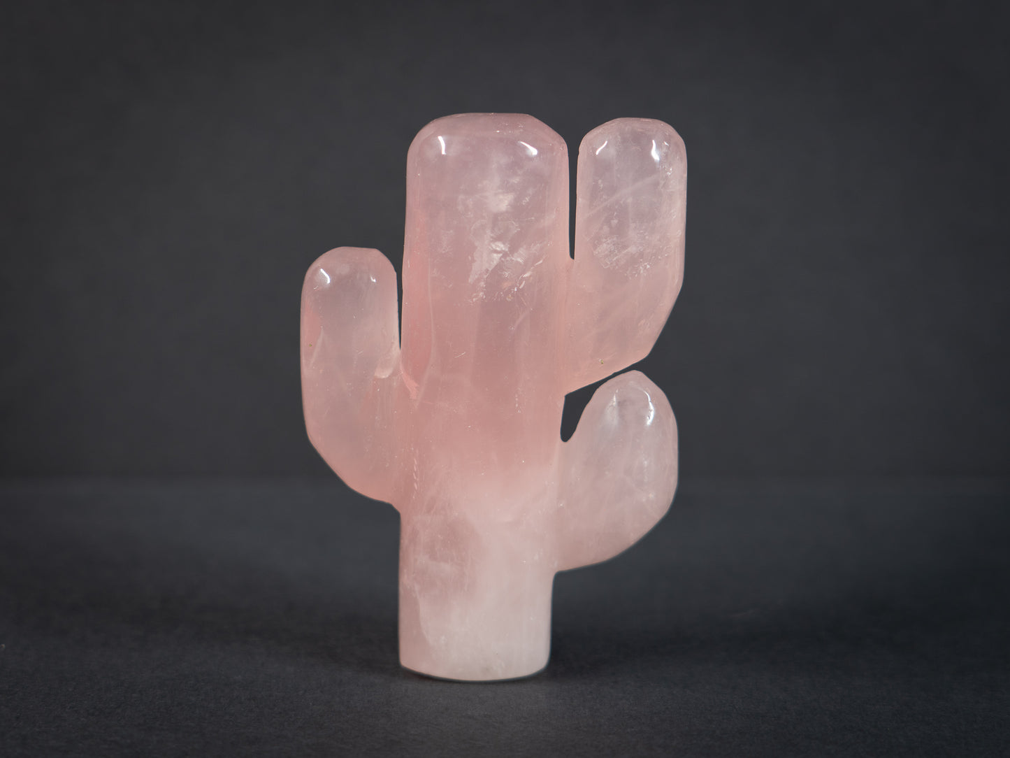 Gemstone Cacti