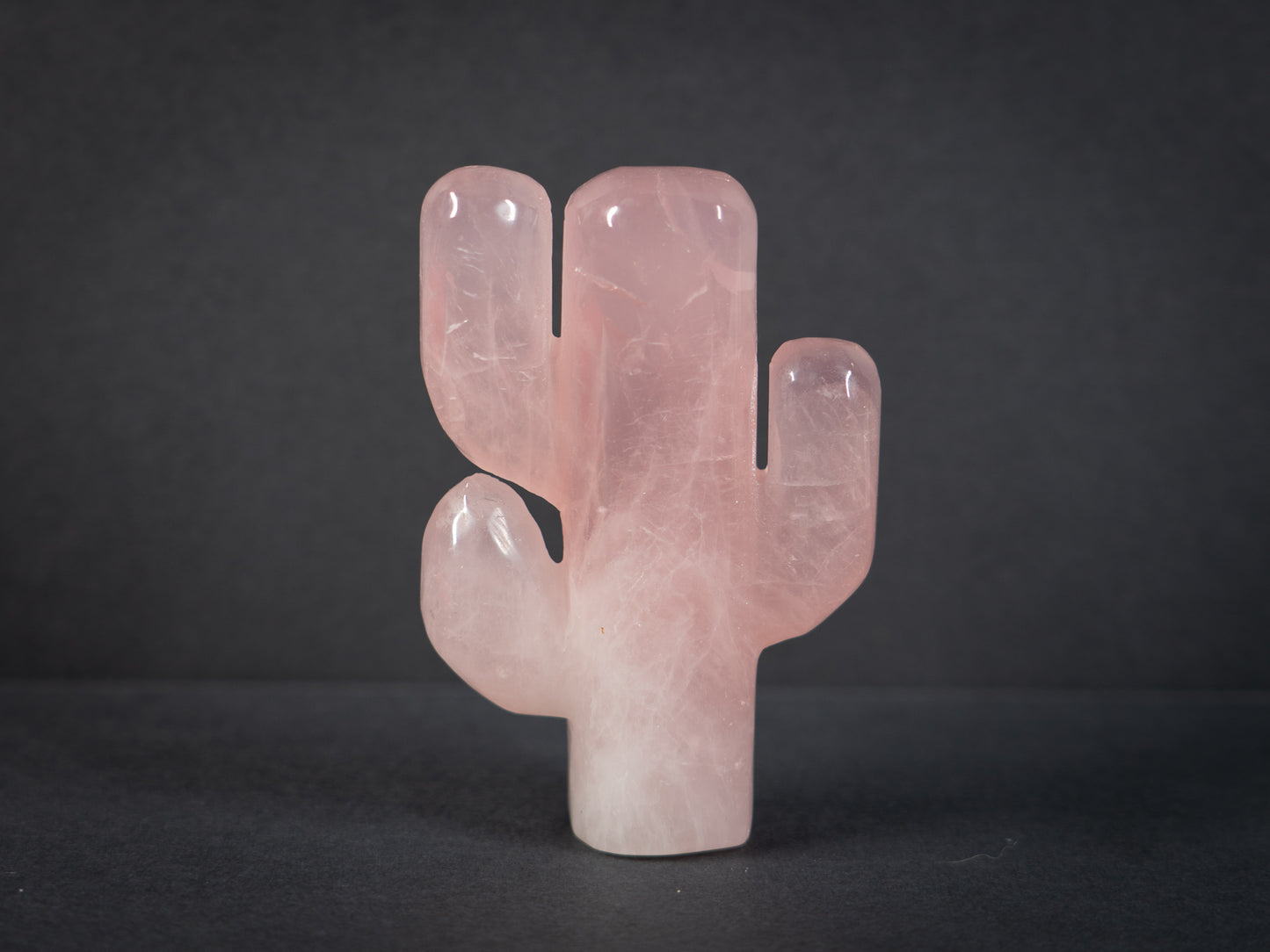 Gemstone Cacti