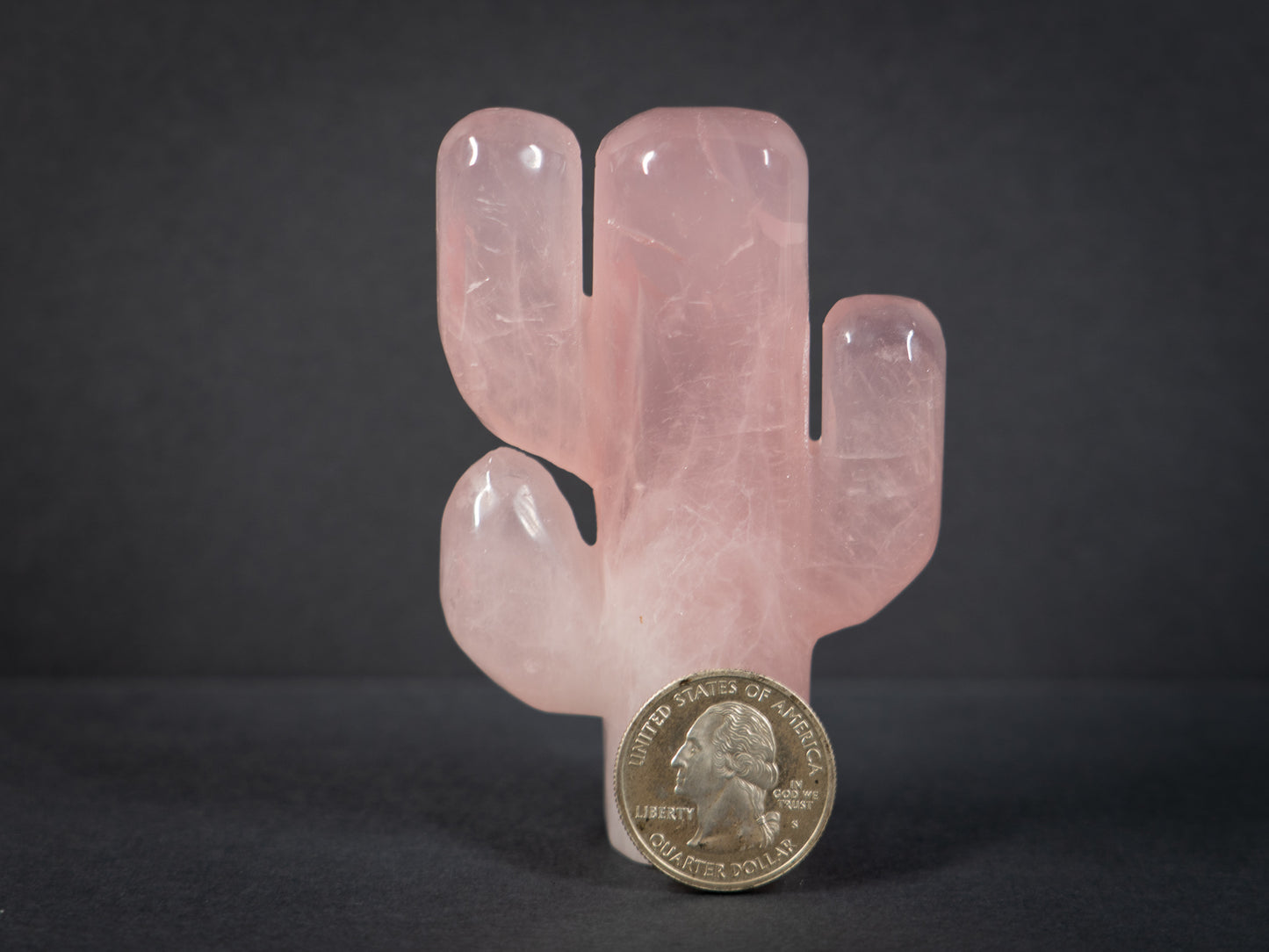 Gemstone Cacti