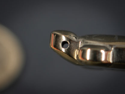 Tiny Pyrite Turtles