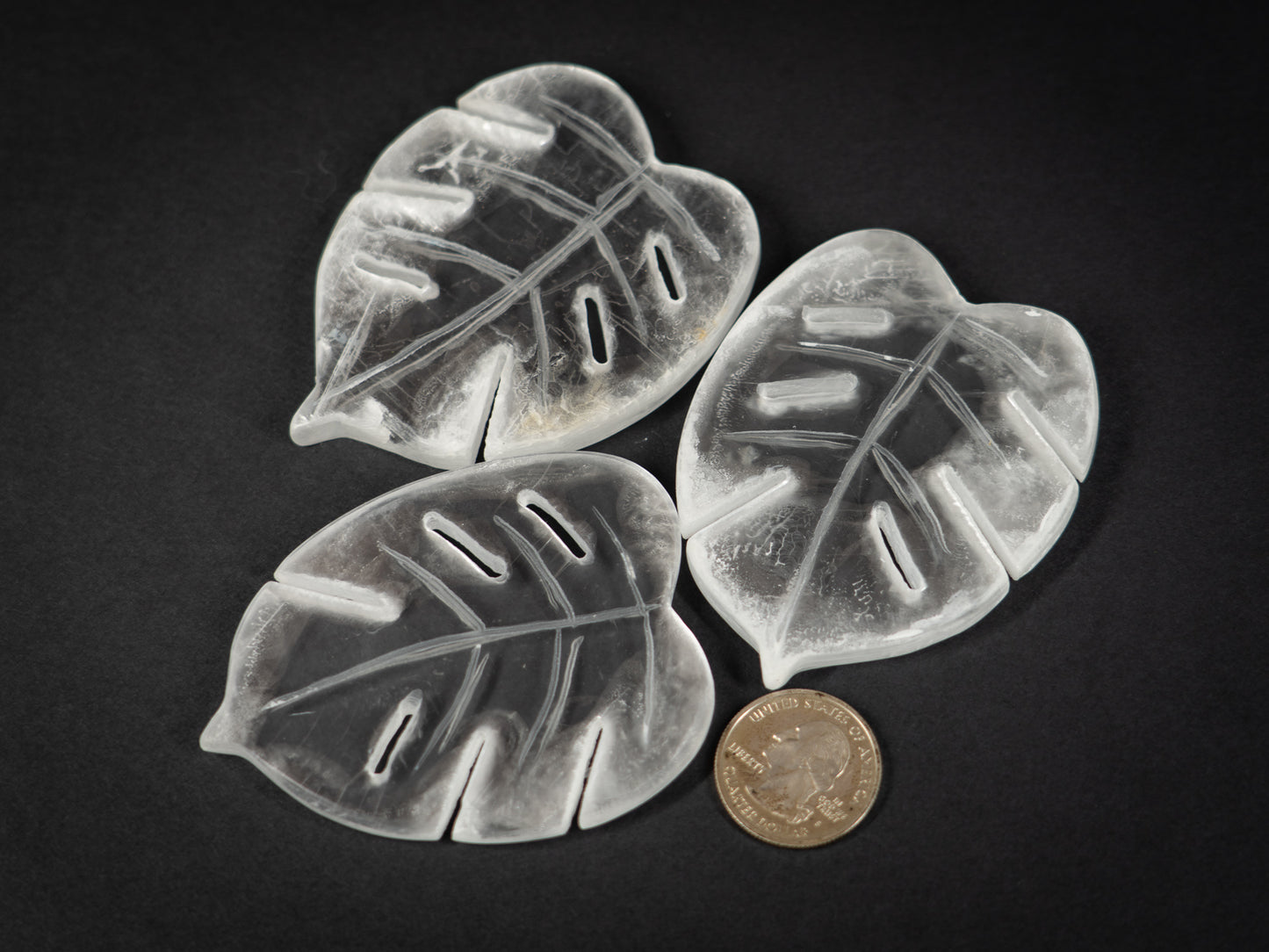 Selenite Tropical Leaf