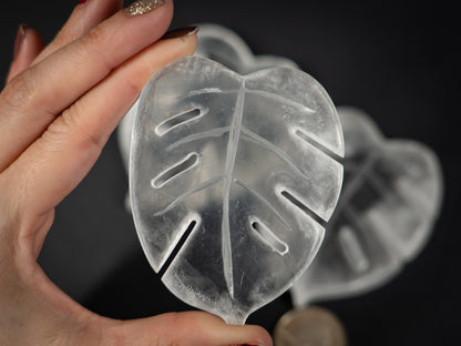 Selenite Tropical Leaf