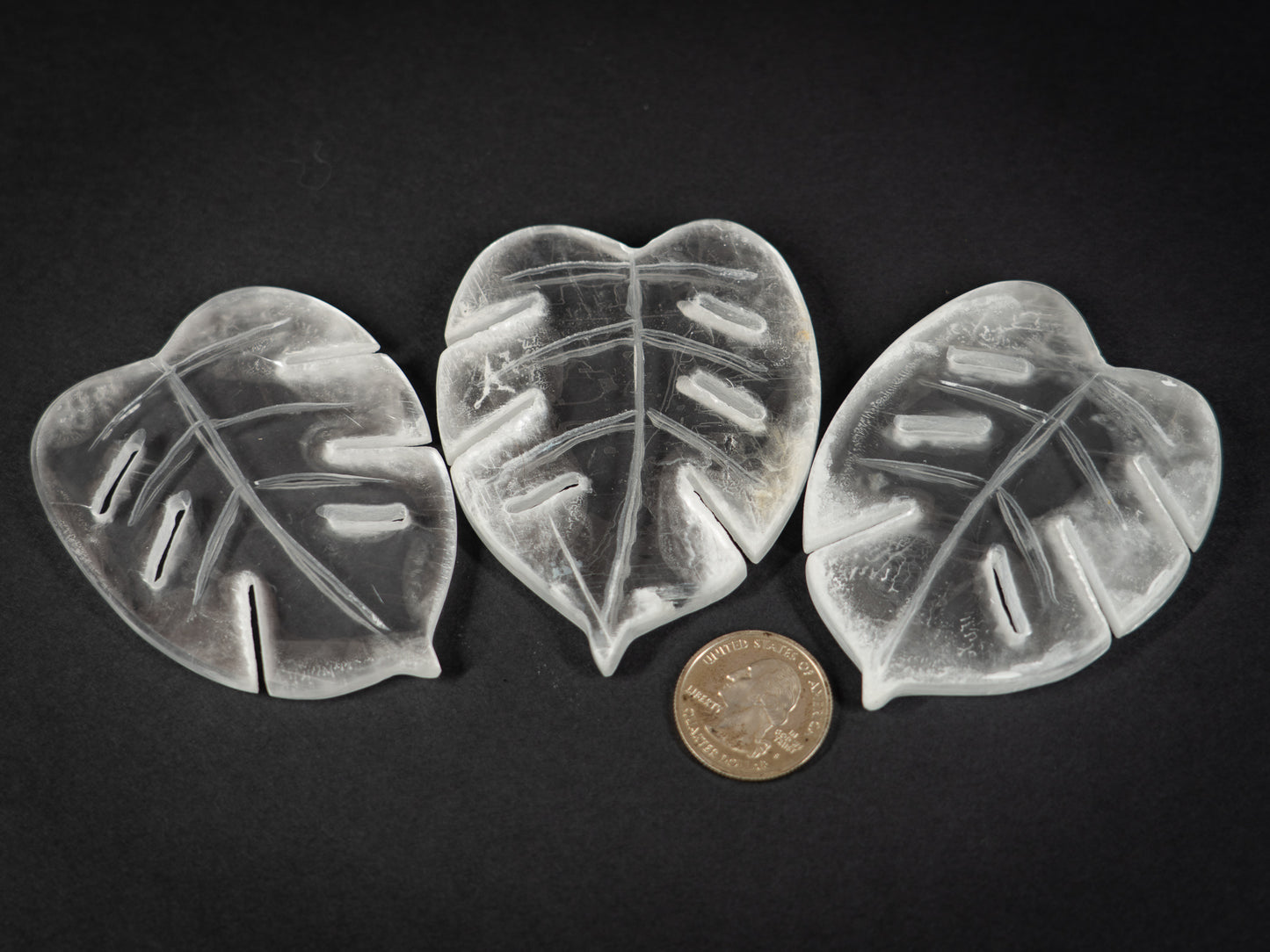 Selenite Tropical Leaf