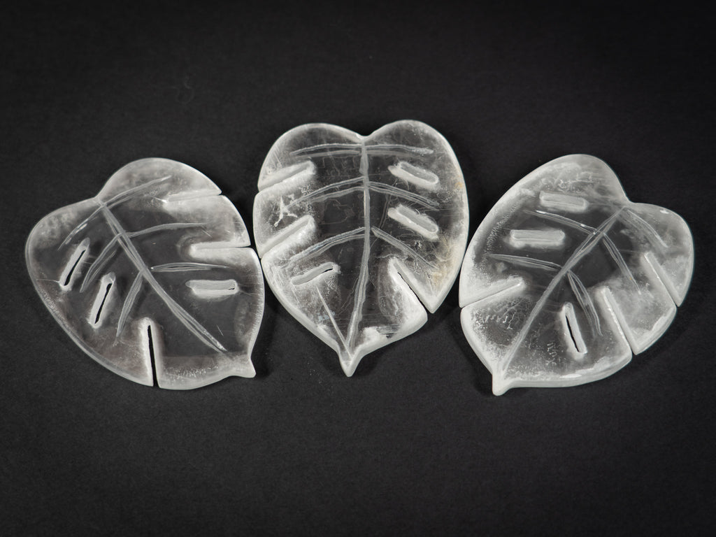 Selenite Tropical Leaf
