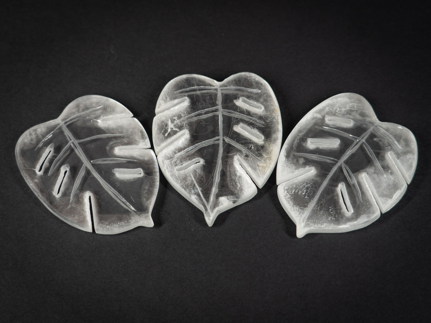 Selenite Tropical Leaf