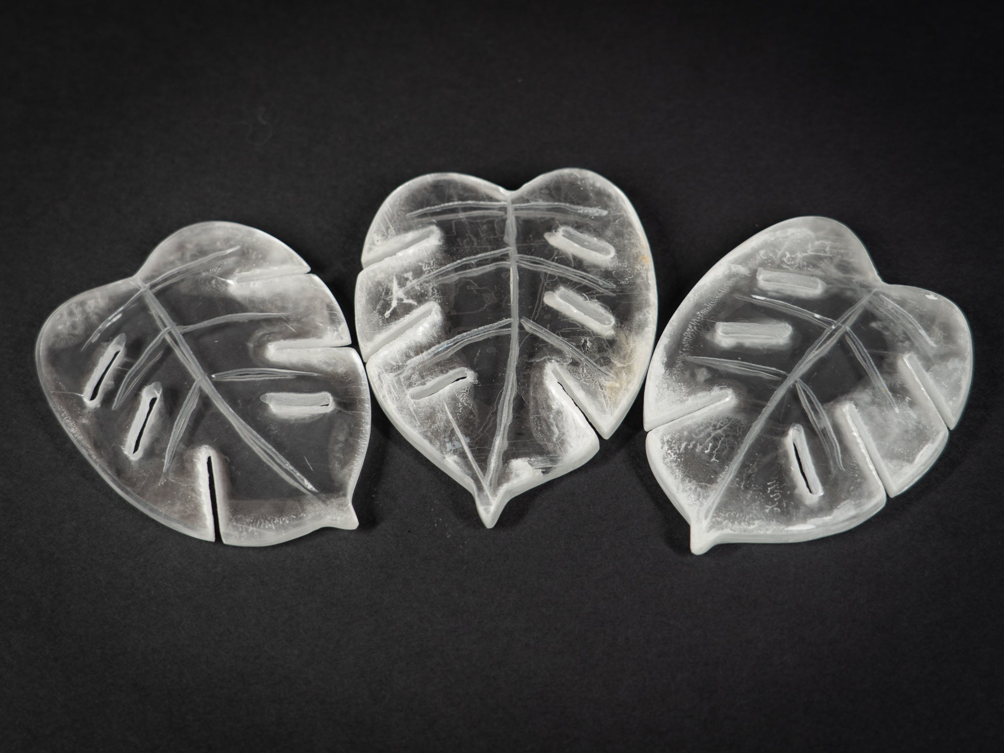 Selenite Tropical Leaf