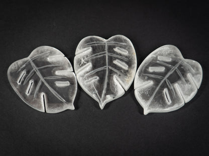 Selenite Tropical Leaf