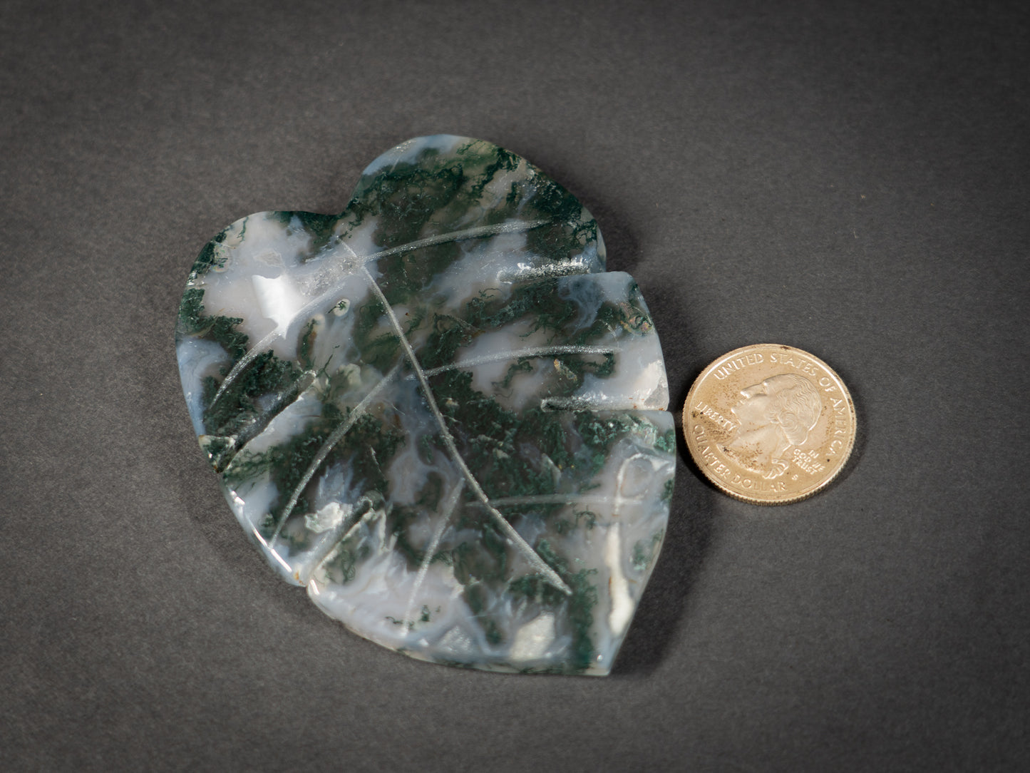Moss Agate Tropical Leaves