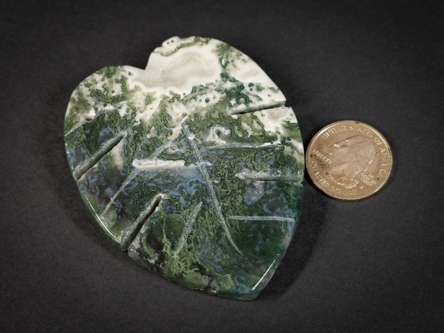 Moss Agate Tropical Leaves