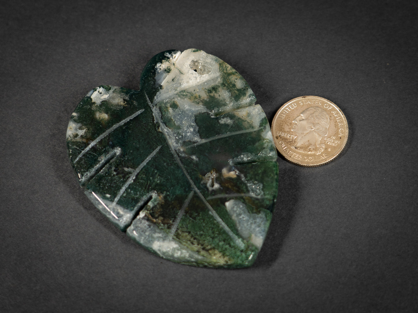 Moss Agate Tropical Leaves