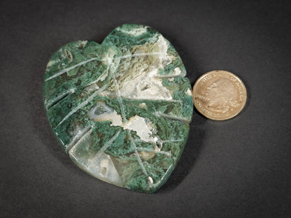Moss Agate Tropical Leaves