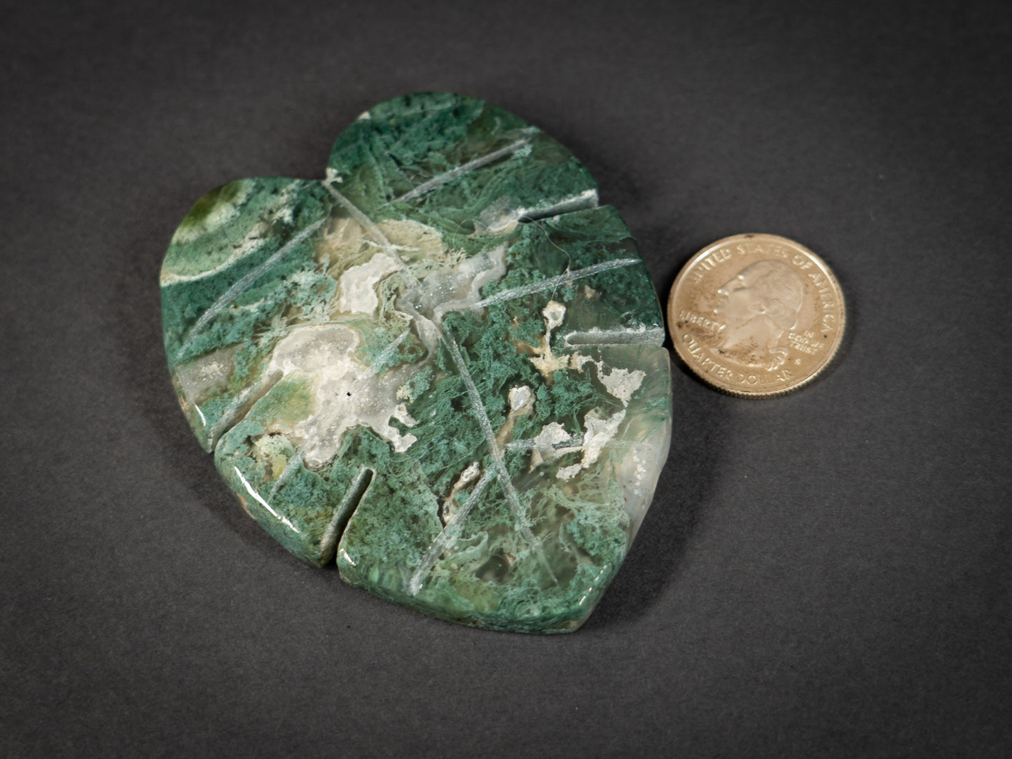 Moss Agate Tropical Leaves