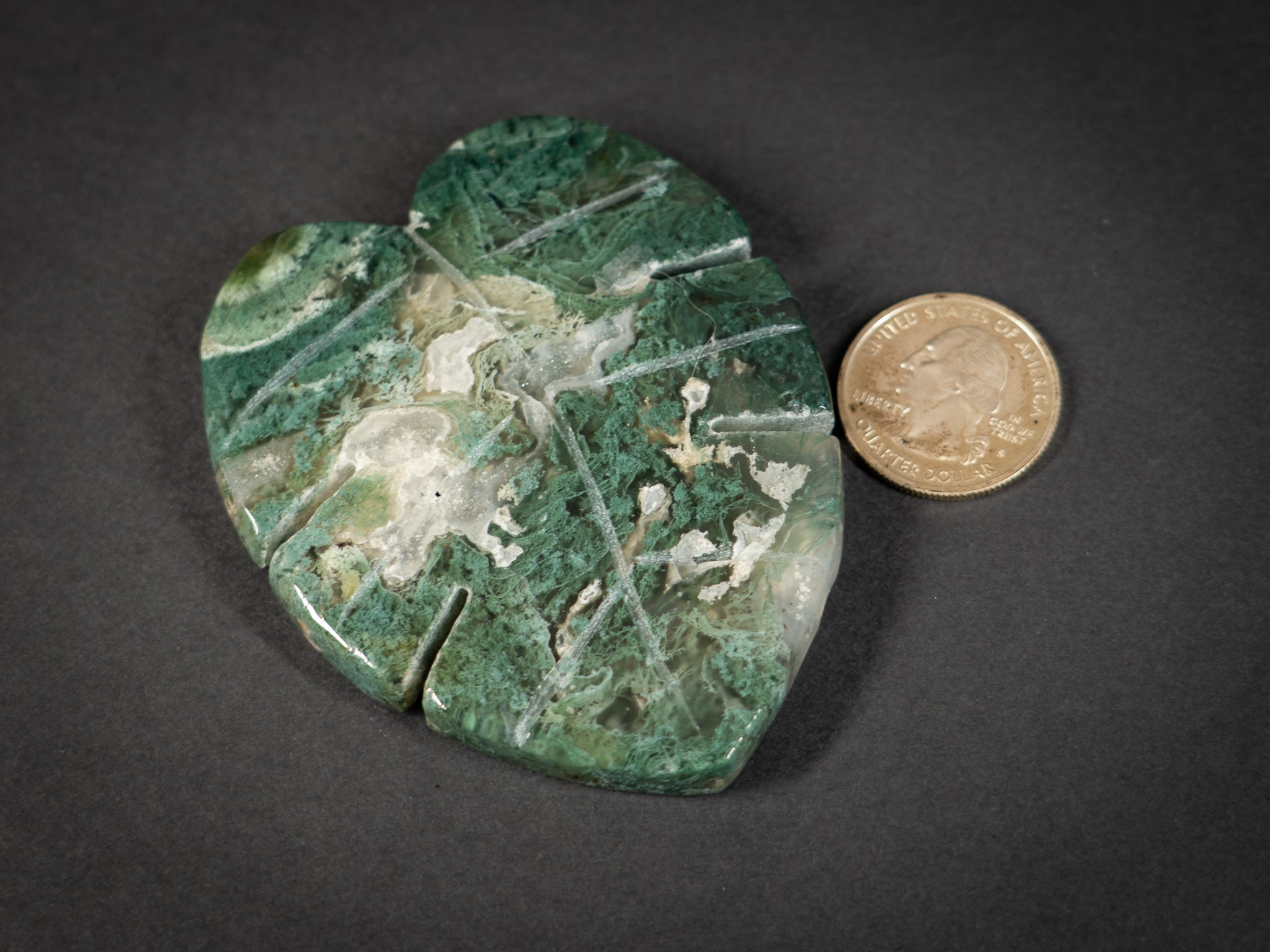 Moss Agate Tropical Leaves