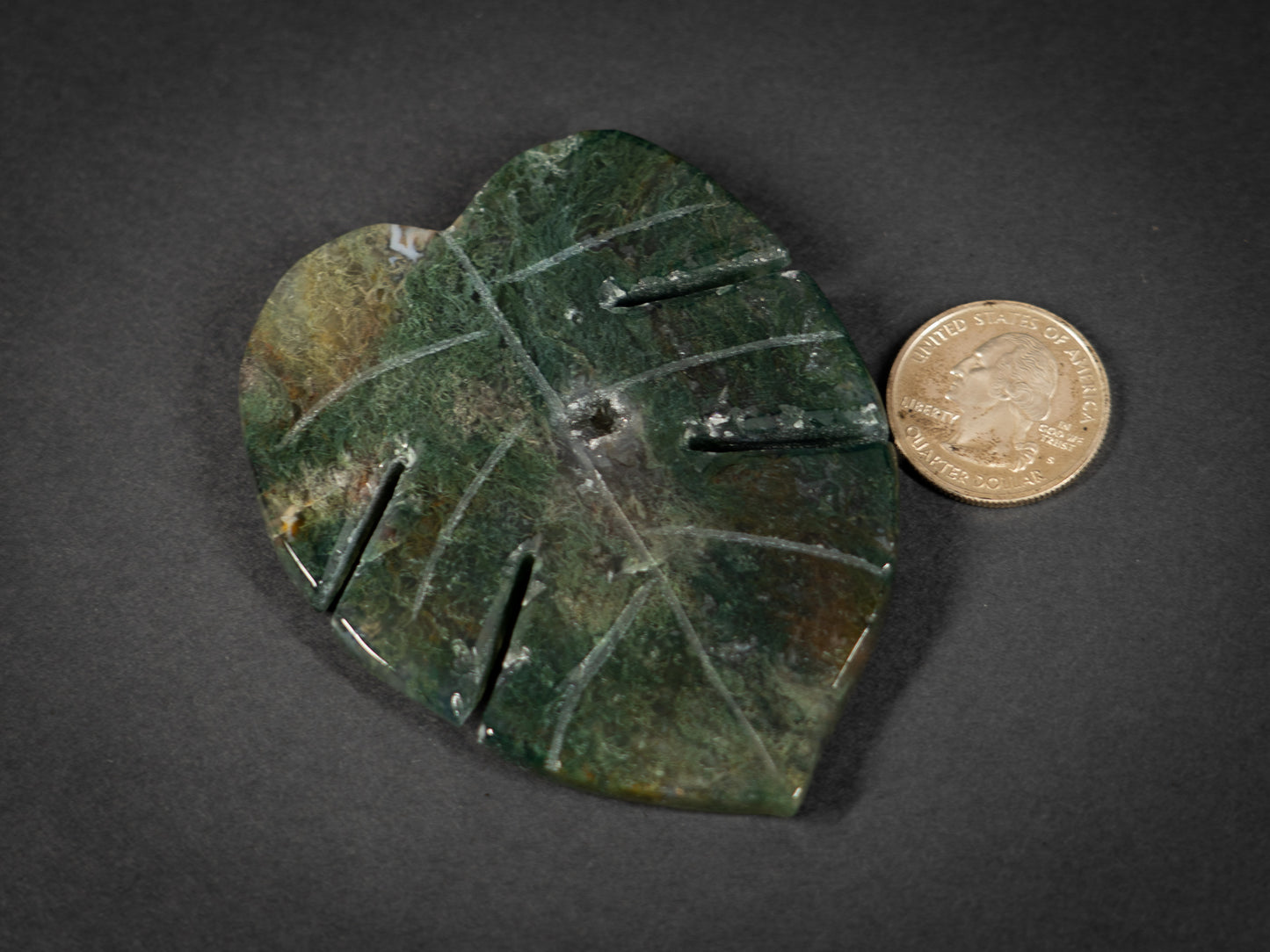 Moss Agate Tropical Leaves