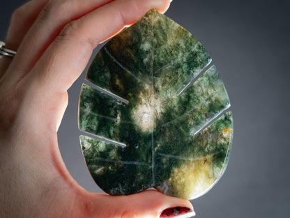Moss Agate Tropical Leaves