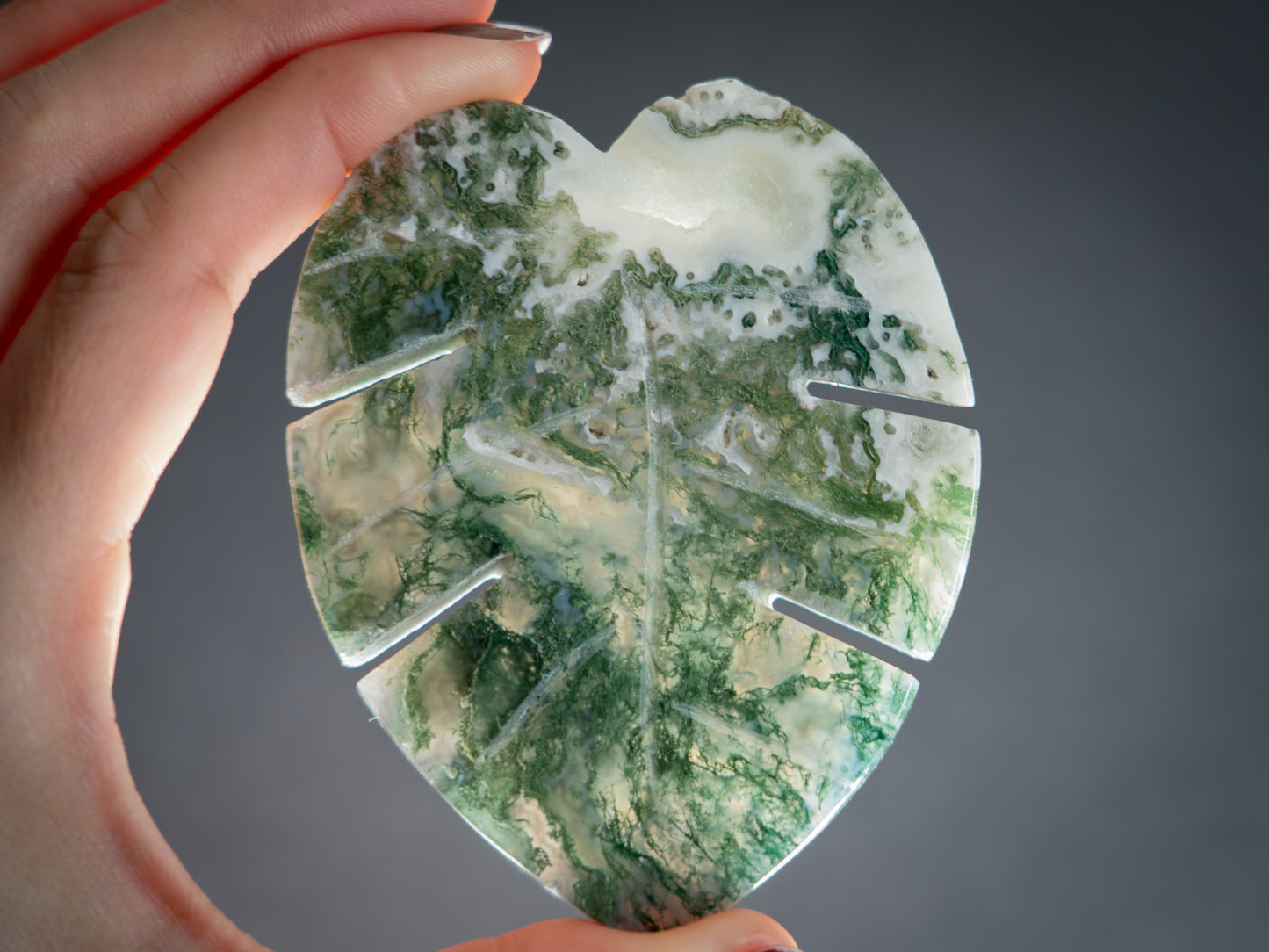 Moss Agate Tropical Leaves