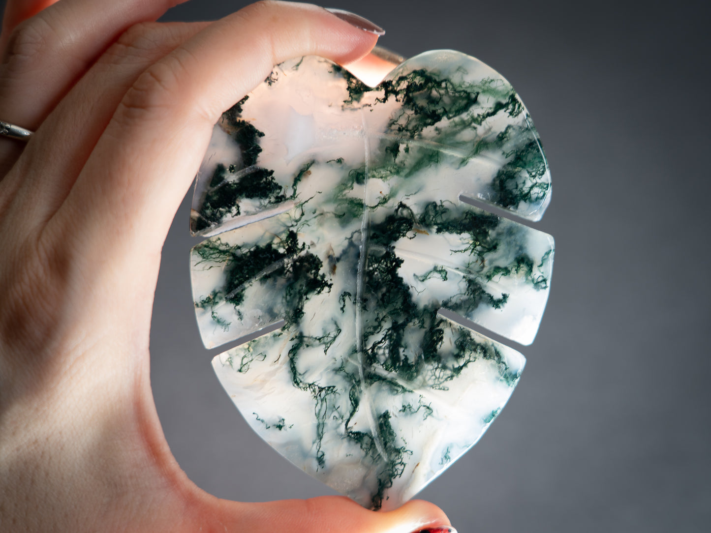 Moss Agate Tropical Leaves