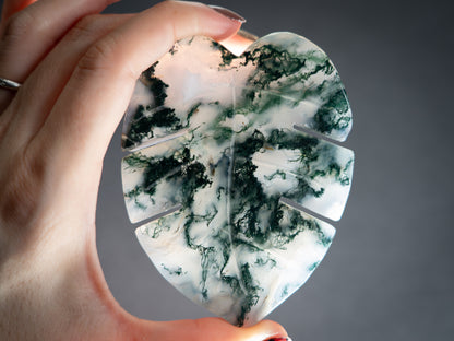 Moss Agate Tropical Leaves