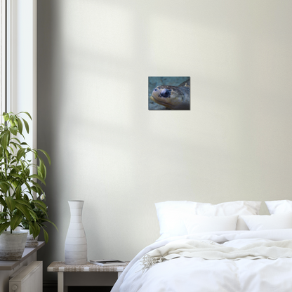 Sea Turtle - Canvas Print